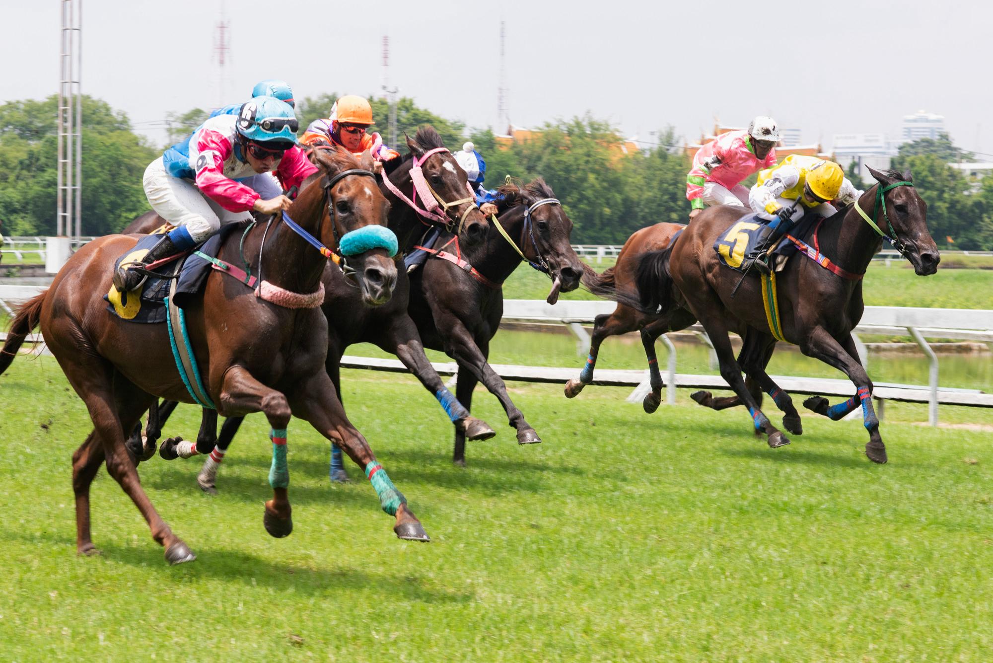Horse racing